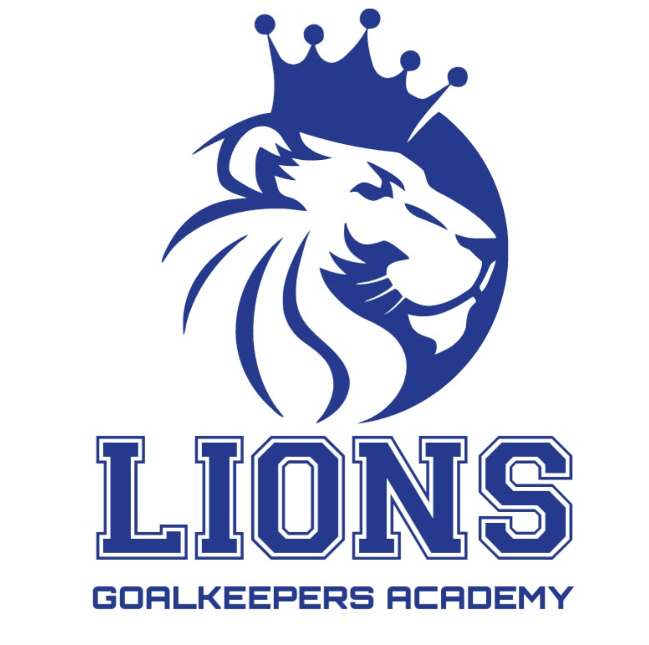 Lions Goalkeepers Academy